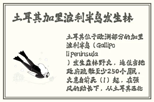 海角精产国品一二三区别